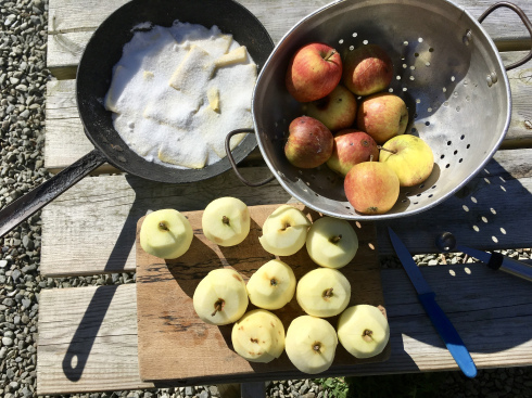 fullsizeoutput_16e1